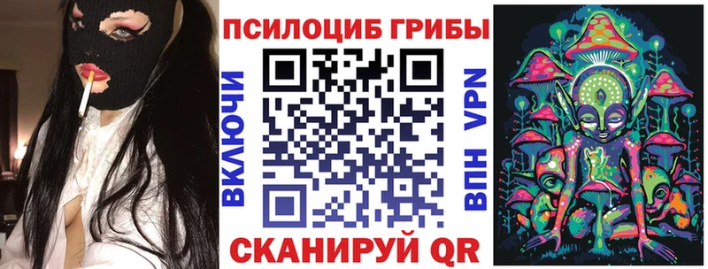 Псилоцибиновые грибы Cubensis  где можно купить   blacksprut ссылки  Алатырь 
