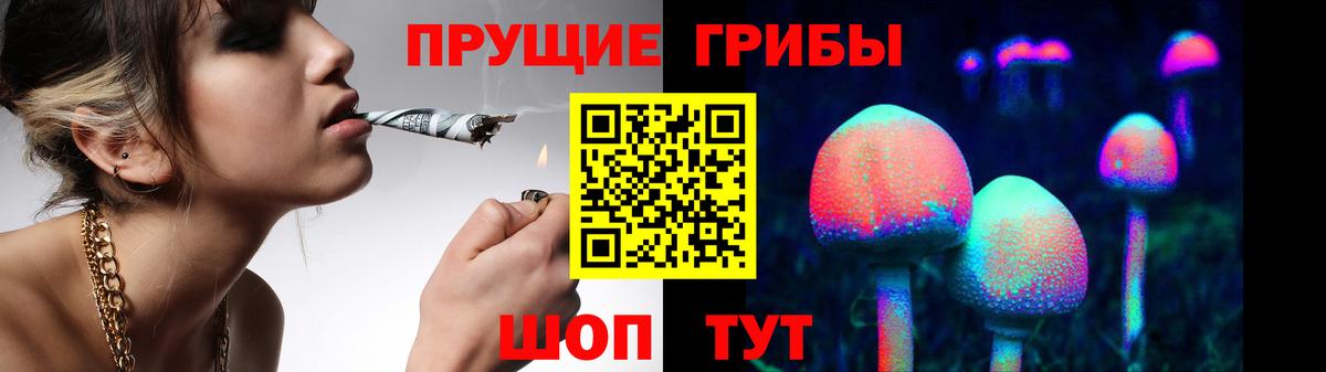Псилоцибиновые грибы Psilocybine cubensis  Вход с VPN  Алатырь  Псилоцибиновые грибы Magic Shrooms 